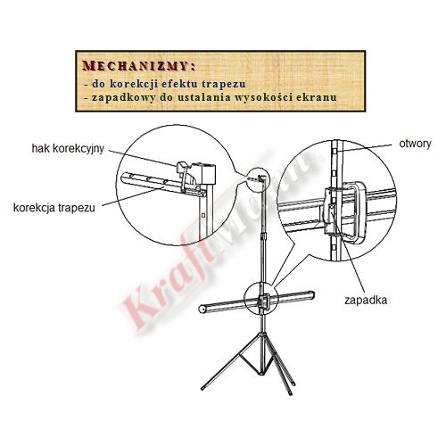 diploma-screen-dualtripod-10-6.jpg
